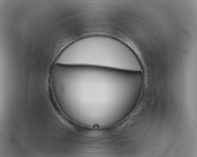 X0000114160105200910081141