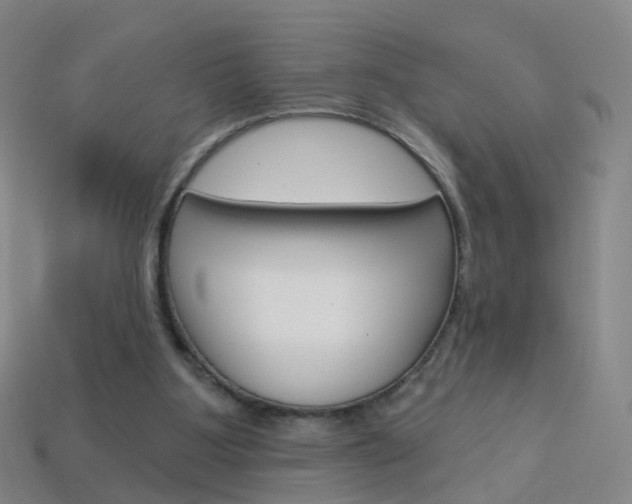 X0000114160107200910081141