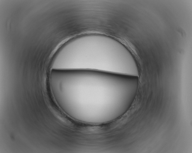 X0000114160108200910081141