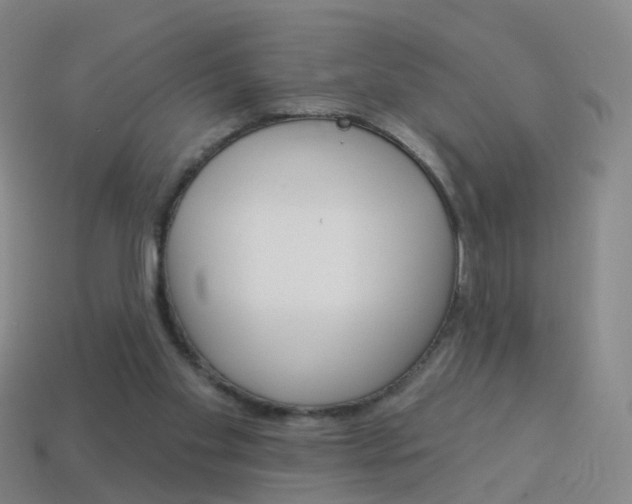 X0000114160109200910081141