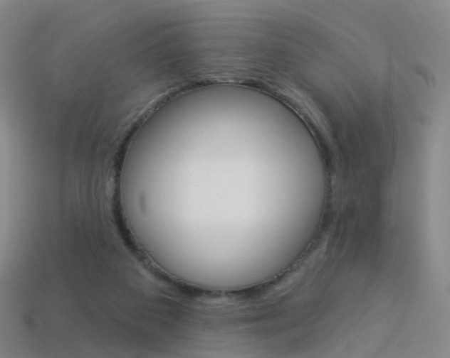 X0000114160113200910081141
