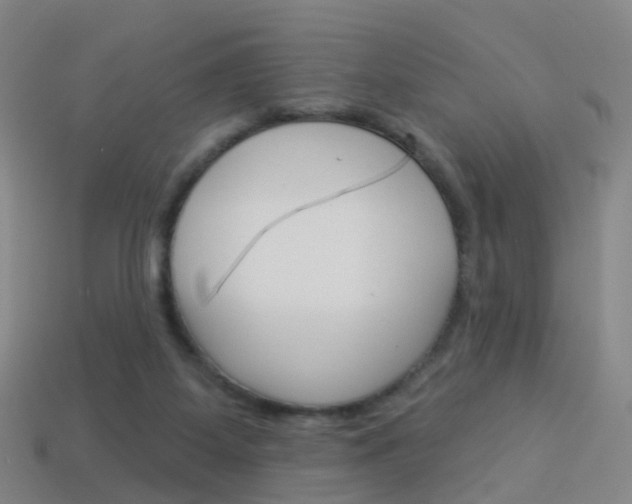 X0000114160115200910081141