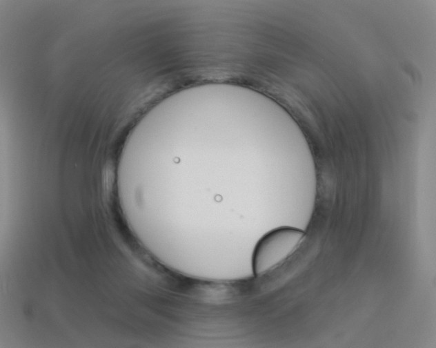 X0000114160118200910081141