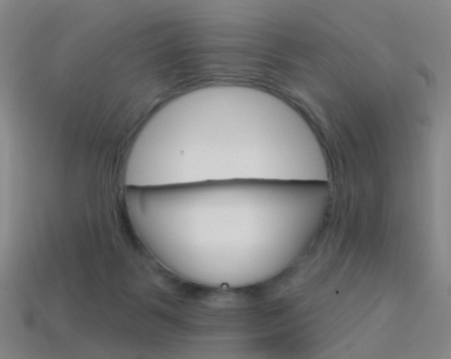X0000114160123200910081141