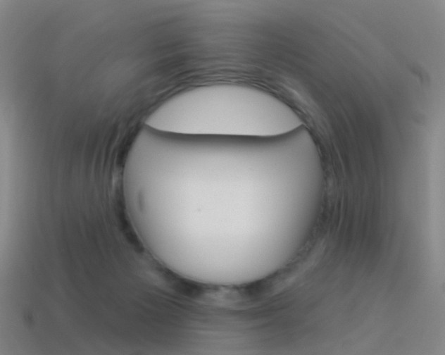 X0000114160125200910081141