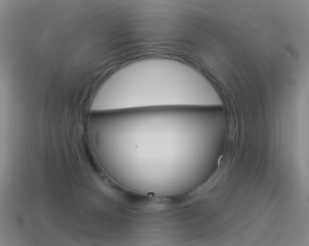 X0000114160128200910081141