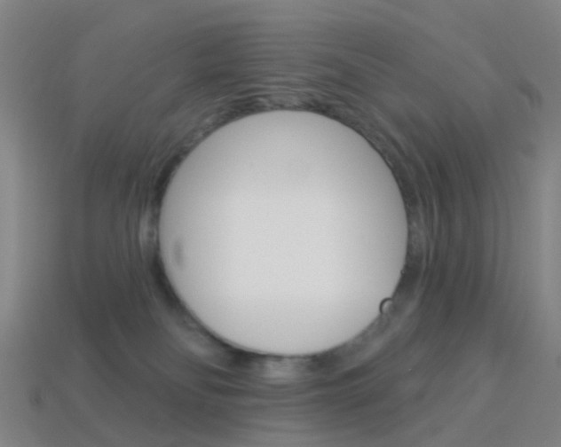 X0000114160134200910081141