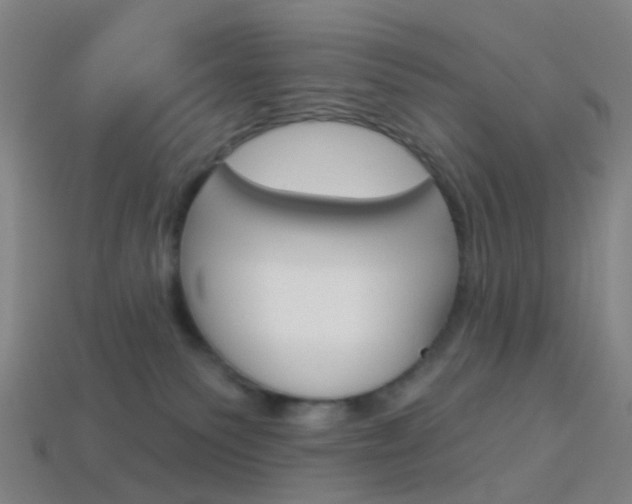 X0000114160135200910081141