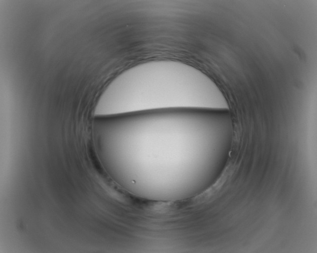 X0000114160136200910081141
