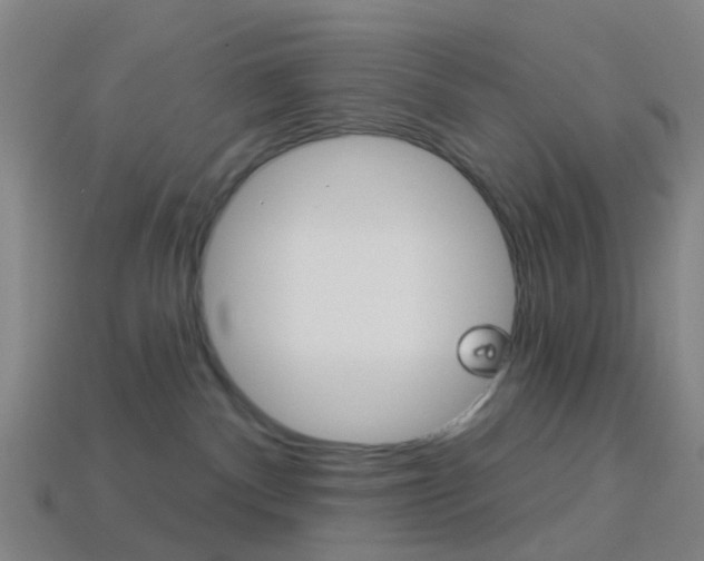 X0000114160140200910081141