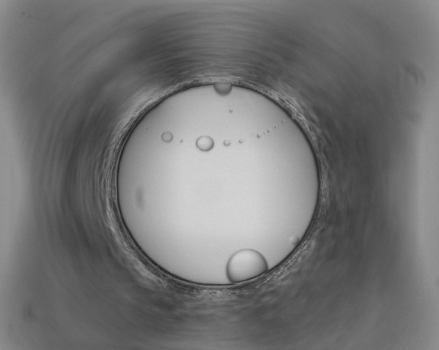 X0000114160145200910081140