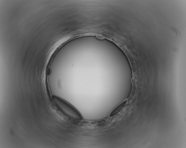 X0000114160148200910081140