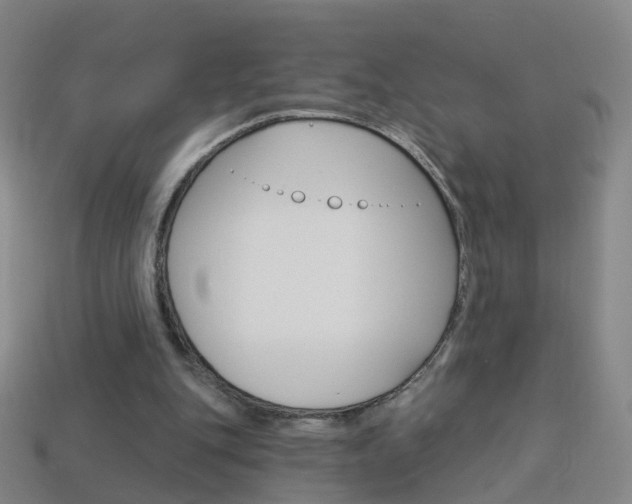 X0000114160151200910081140