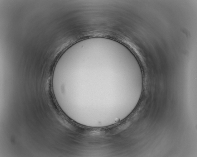 X0000114160153200910081140