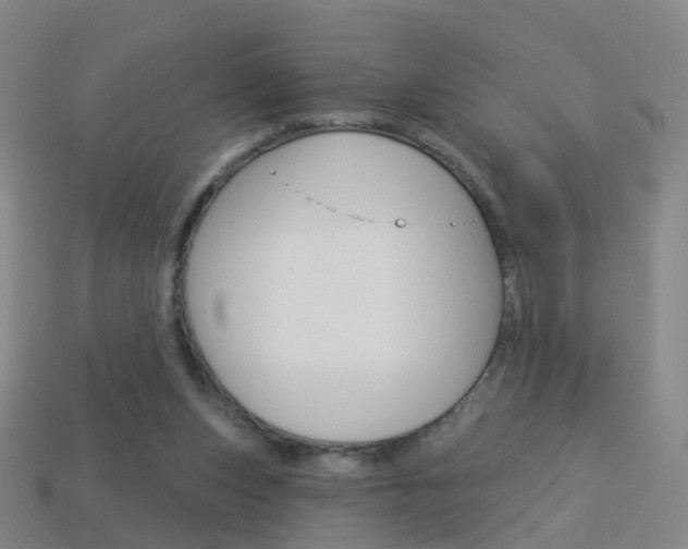 X0000114160159200910081140