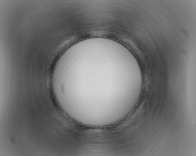 X0000114160161200910081140