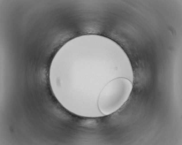 X0000114160162200910081140