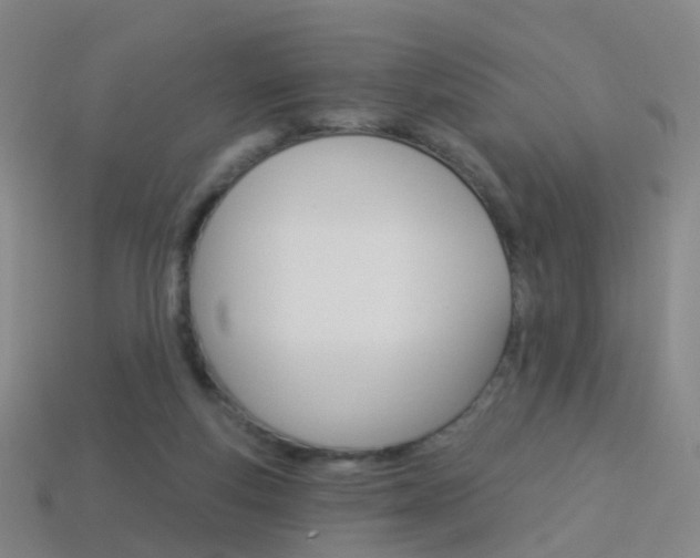 X0000114160163200910081141