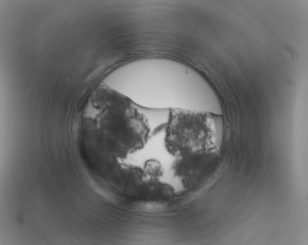 X0000114160165200910081141