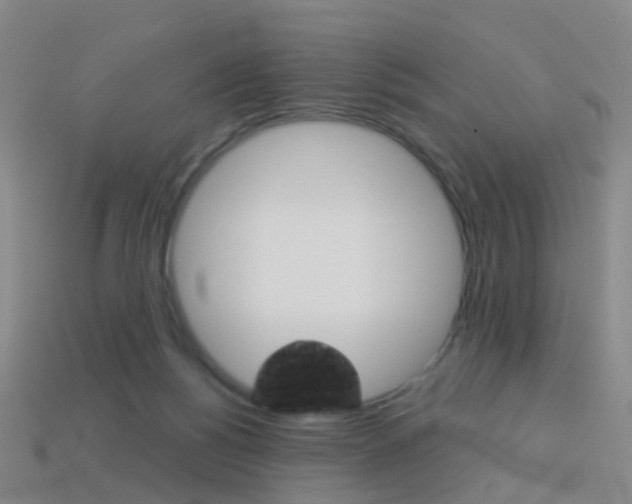 X0000114160168200910081141