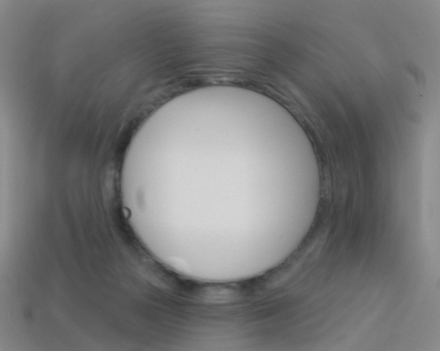 X0000114160169200910081141