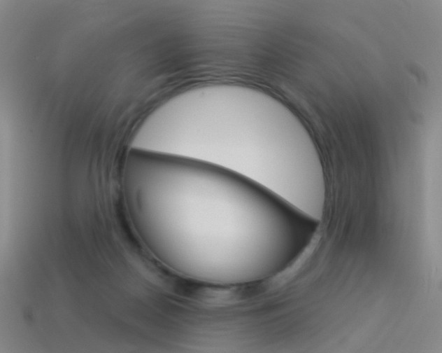 X0000114160170200910081141