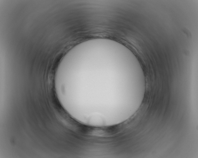 X0000114160171200910081141