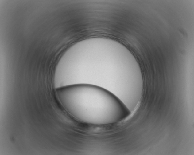 X0000114160174200910081141
