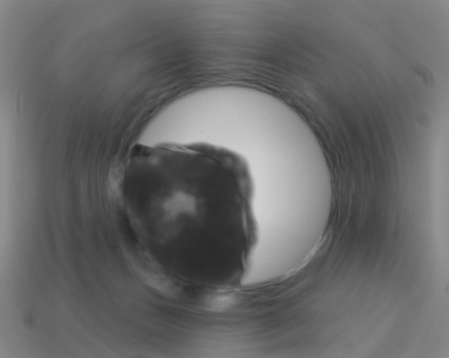 X0000114160175200910081141