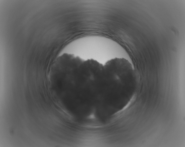 X0000114160179200910081141