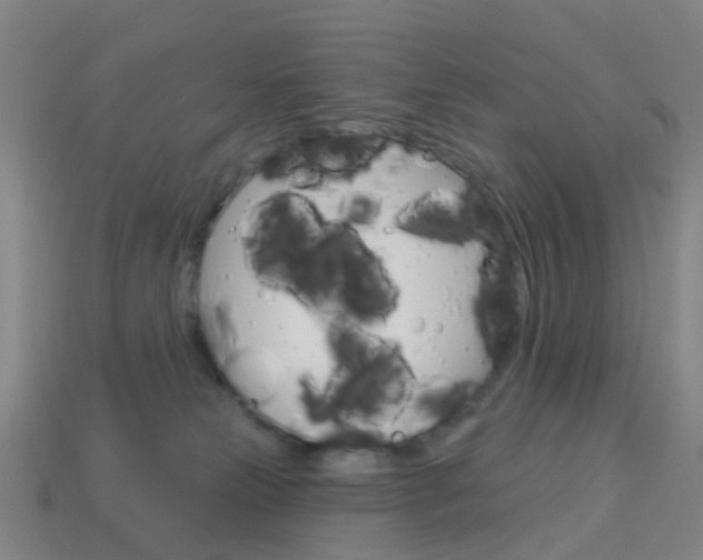 X0000114160181200910081141
