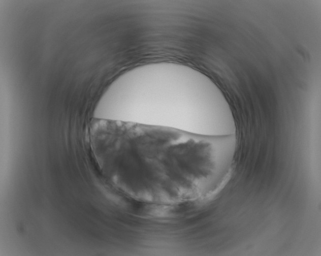 X0000114160182200910081141
