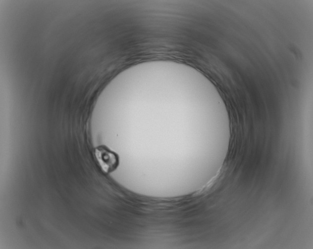 X0000114160184200910081141