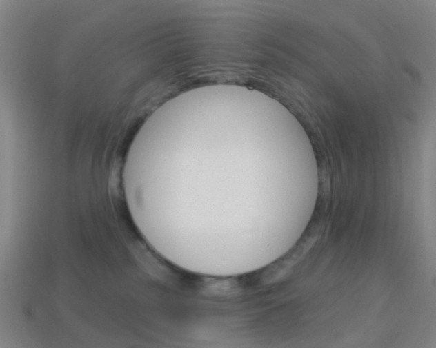 X0000114160185200910081141