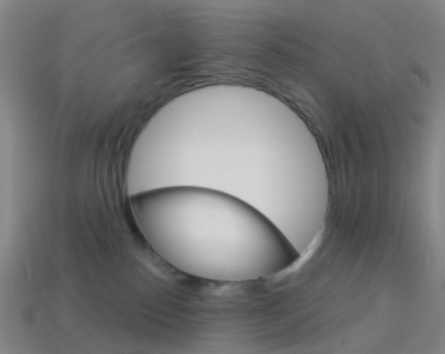 X0000114160186200910081141