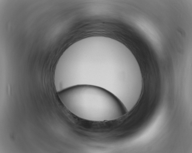 X0000114160190200910081141