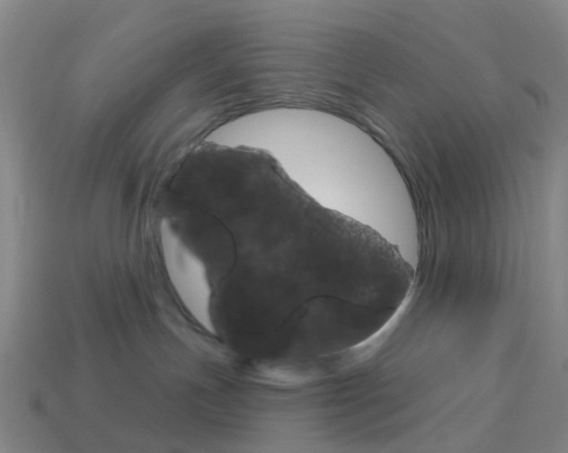 X0000114160191200910081141