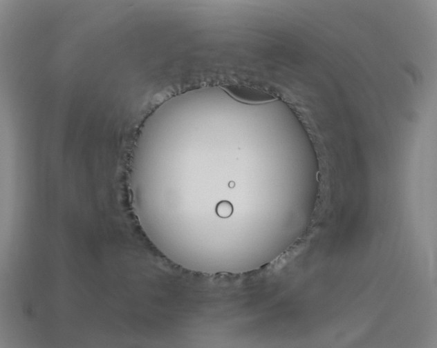 X0000114160192200910081141