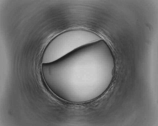 X0000114160193200910081140