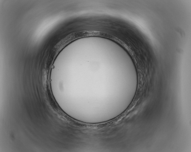 X0000114160194200910081140