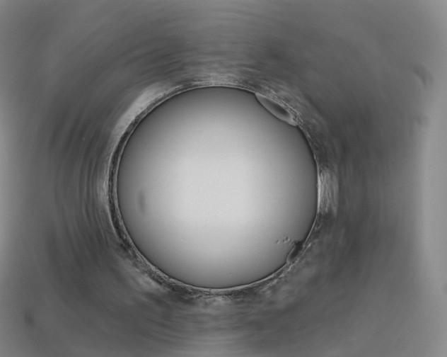 X0000114160195200910081140