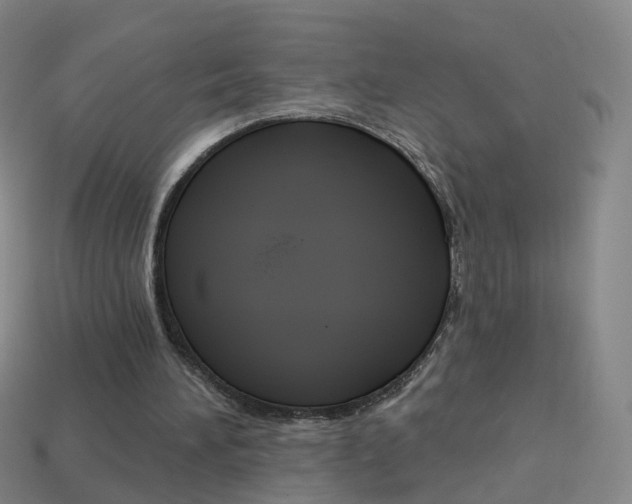 X0000114160196200910081140