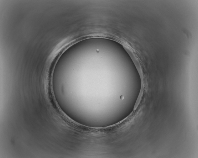 X0000114160199200910081140