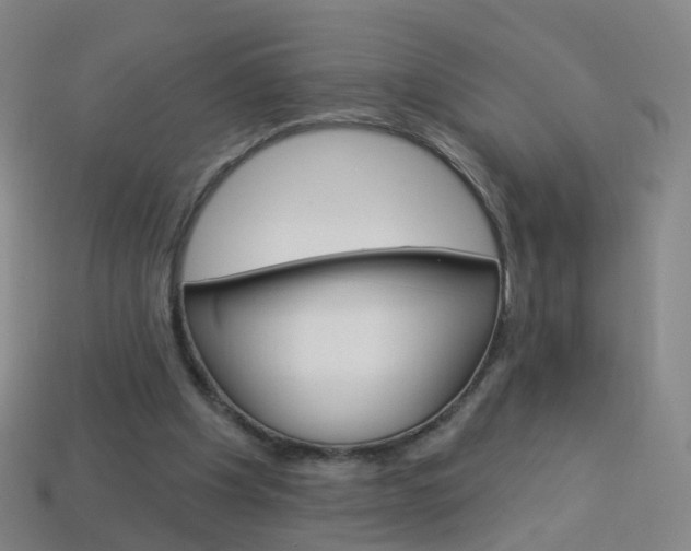 X0000114160201200910081140