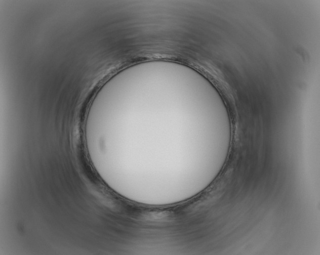 X0000114160202200910081140