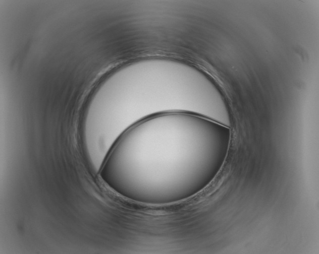 X0000114160203200910081140