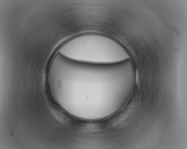 X0000114160204200910081140