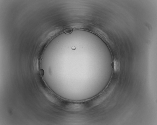 X0000114160205200910081140