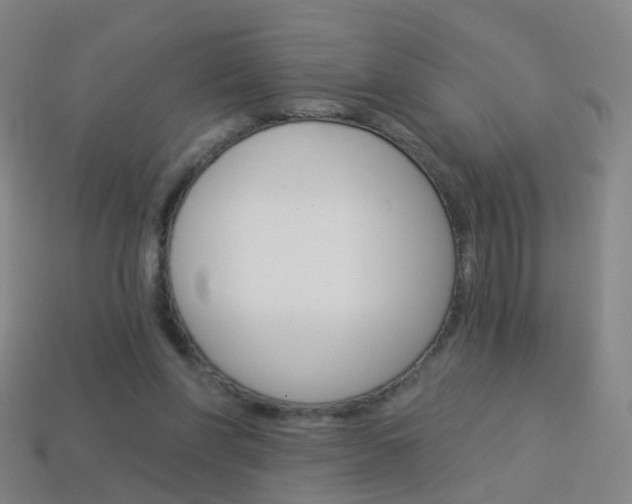 X0000114160206200910081140