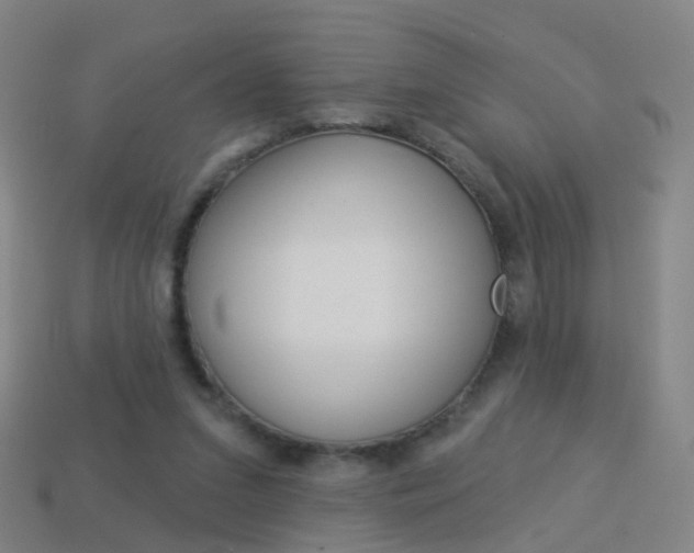 X0000114160207200910081140